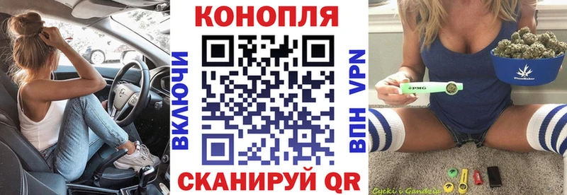 Марихуана сатива  Купить закладки  Питкяранта 